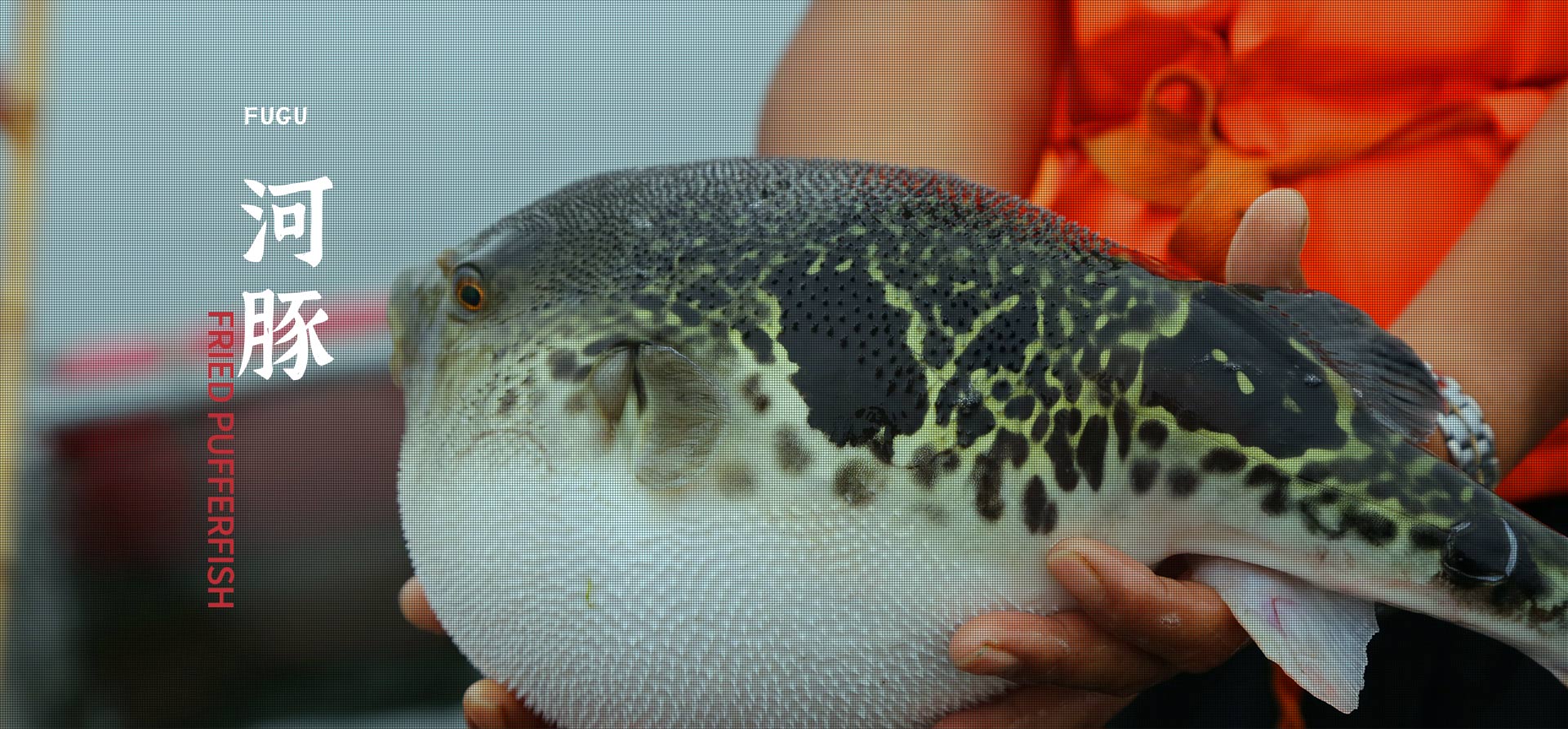 AG�ֻ��������(����)��ҳ���